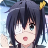 91.CAPP最新版