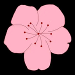youjizz最新版